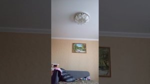 2 часть жиза в школе