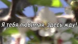 Я тебя любимая, здесь жду!❤️ Музыкальная открытка