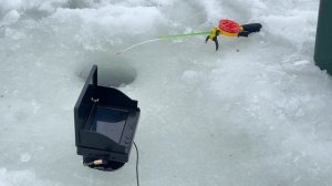 последний лед 2026/жор рыбы / наловили за раз как за весь сезон