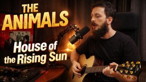 Моё видение Animals - House of the Rising Sun