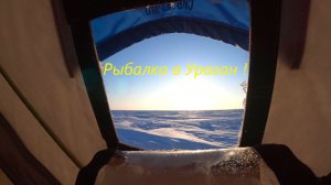 Чаны/ д.Шаитик/ остров Северок/ и сильный Ураган !!!