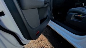 petal_20260329_155912.mp4