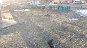 Болталка на прогулке.Получи налоговый вычет и будь доволен 👍