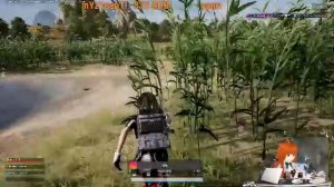 Лягушатки мои,за мной))