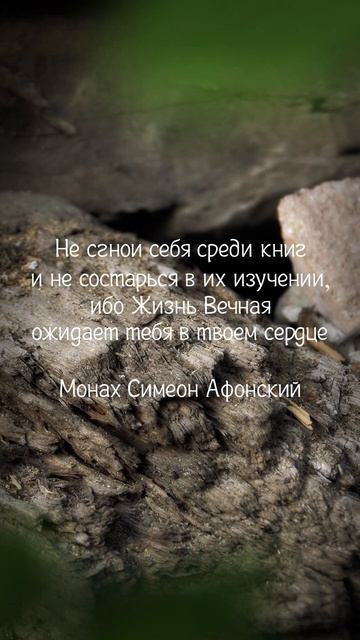 Не сгнои себя среди книг - жизнь внутри