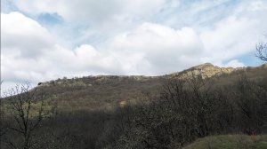 Поход по лесной дороге.