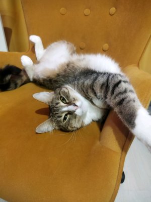 эфир после тренировки