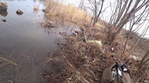 Мормышинг в Приморье. Карась и Мормо палочка Олта Навахо мормышка 185 0.1-0 5.  28.03.2026