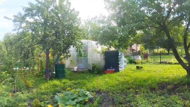 Продаю свою дачу.
Https://www.avito.ru/gremyache/doma_dachi_kottedzhi/dacha_40_m_na_uchastke_6_sot._