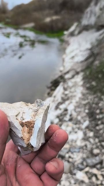 Сетка конкреционная