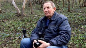 Голубой ковер степи: как пролески объединяют поколения в гармонии с природой