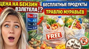 Лиса в Америке - Похоже началась паника- Очереди на заправках