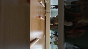 Влог лошадей schleich