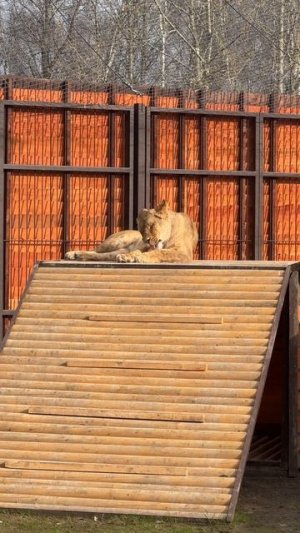 Просыпаемся,умываемся