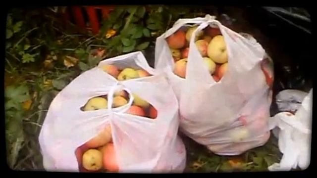 Дача 2013  (Created With Magisto)