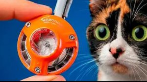 ВОТ ЧТО МЫ КУПИЛИ НА АЛИЕКСПРЕСС