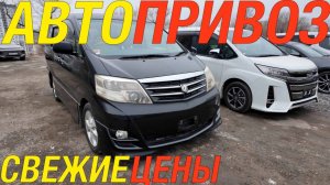 ДЕДУШКА АЛЬФАРД БЕЗ УТИЛЬ СБОРА / TOYOTA ALPHARD NOAH MAZDA CX5 AXELA HONDA FIT VOLKSWAGEN TIGUAN