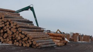 Лесопилка: от гигантских брёвен до пеллет, поддонов и досок