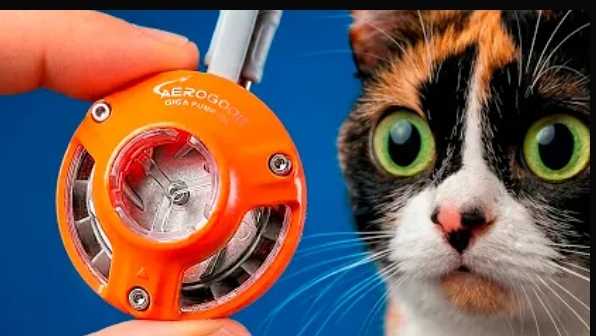 сливки  шоу ВОТ ЧТО МЫ КУПИЛИ НА ALIEXPRESS