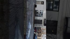 Гуляем ВЕСНА.3