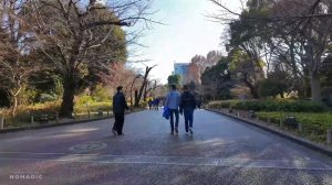 Токио Япония 2026 Прогулка по Гинзе и Уэно 🌸🗼