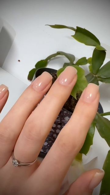 Маникюр с покрытием гель