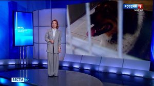 8.00 - «Вести. Юг». от 29.03.2026г.