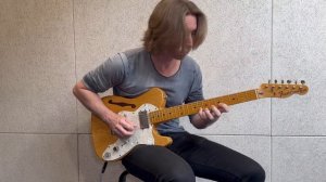 Сергей Вишняков - Donna Lee (Solo by Pat Martino)