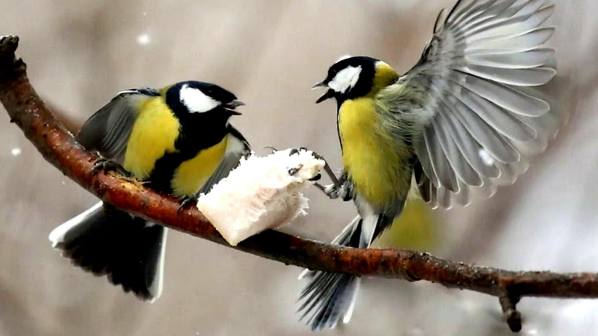 Народные праздники апреля с 1 по 5