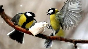 Народные праздники апреля с 1 по 5