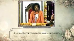 206-Человек – это Бог (часть 2-я). Шри Сатья Саи. Божественная Беседа (Махашиваратри), 17.02.1996 г.