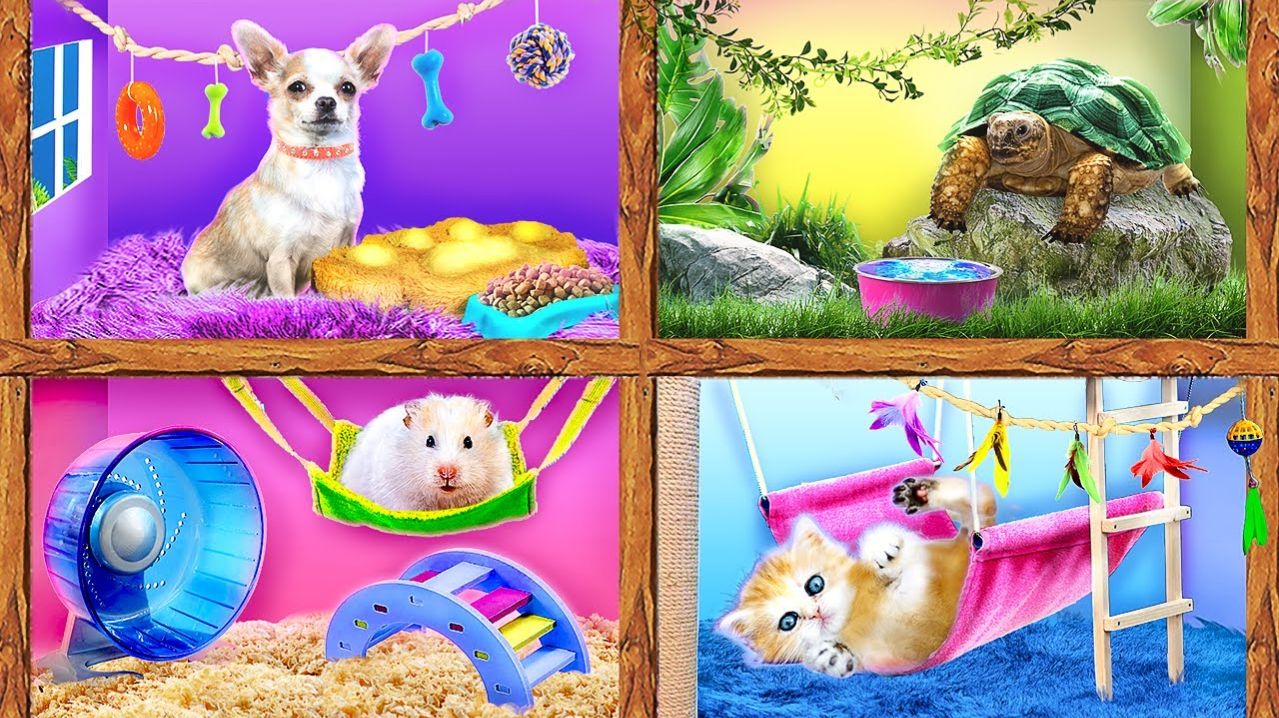 Строим секретные домики для животных. Я купила зоомагазин