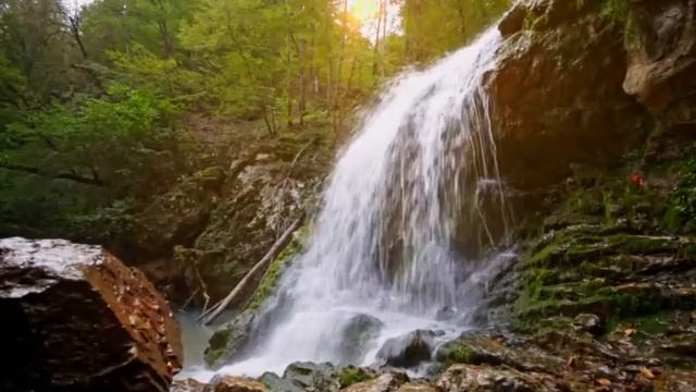 285 Восстановления Ткани и Энергетического Баланса
