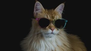 Emotional Satisfaction 2026 _ Top Chill Mix