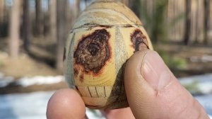 Шкатулка в мартовском лесу на березе