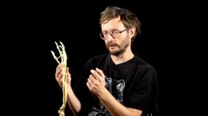 Дробышевский. Эволюция кисти