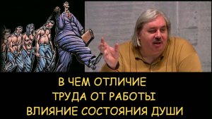 ✅ Н.Левашов. В чем отличие труда от работы. Как влияет состояния души