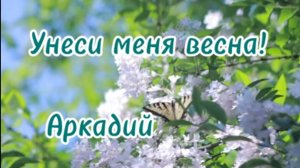 Унеси меня весна! (авторская песня)