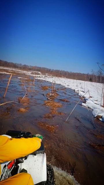 Kayo AU200 на резине Maxxis Zilla