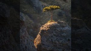 26 Качеств Святой Личности ● 26. Правдивость и смирение ● О.Г. Торсунов