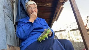 На дороге грозили кулаком мне и вот ,что вышло