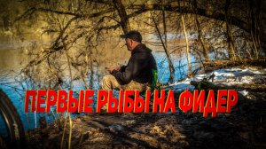 Первые рыбы в фидерном сезоне