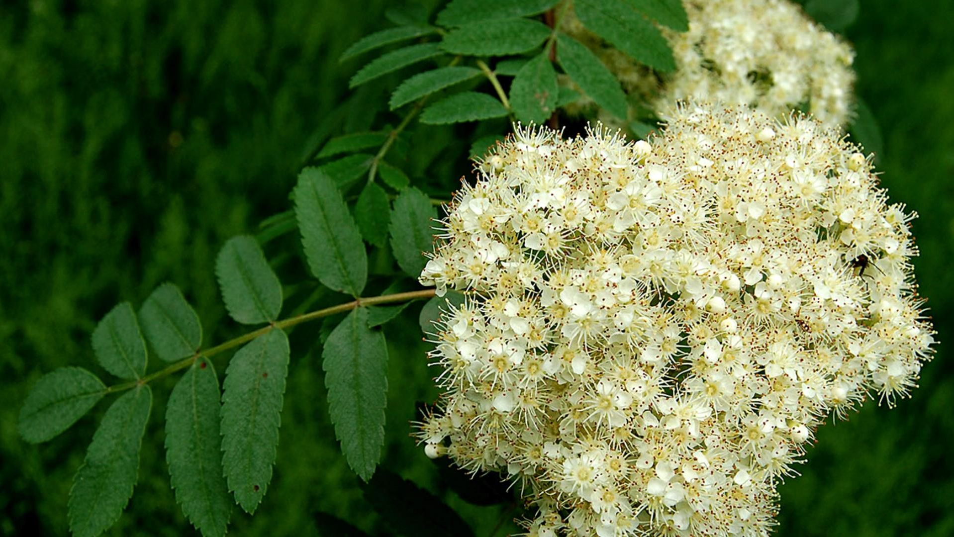 Народные праздники апреля с 26 по 30 .