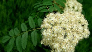 Народные праздники апреля с 26 по 30 .