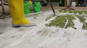 Ковер был ужасно загрязнен: мы приложили немало усилий, чтобы привести его в идеальное состояние.