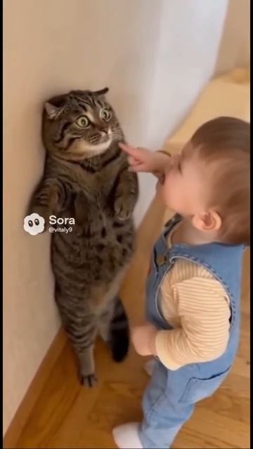 Поясняет , кто кот по жизни