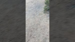 Фильм  Егора Линча стоимостью ноль рублей