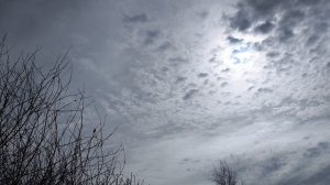 29-03-2026 день в СНТ 4