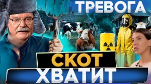 ЭТО НАСИЛИЕ / МИХАЛКОВ БЕСОГОН / ОКСАНА КРАВЦОВА