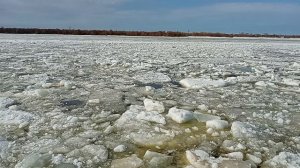 Северная Двина 29 марта